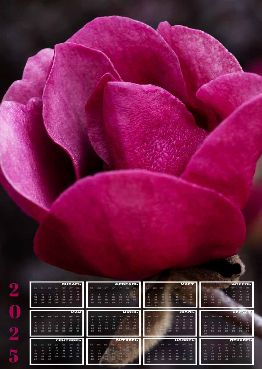 Графический дизайн. Beauty и Fashion фотограф в Сочи и в Москве Алена Фролова