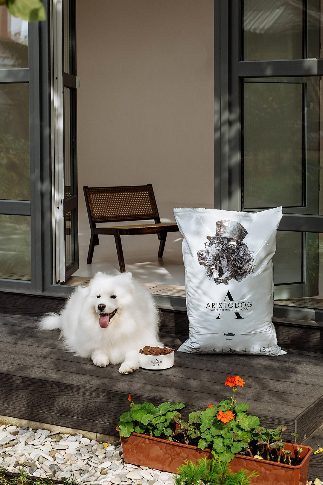 ARISTODOG. Фотограф и видеограф Анна Жагорина