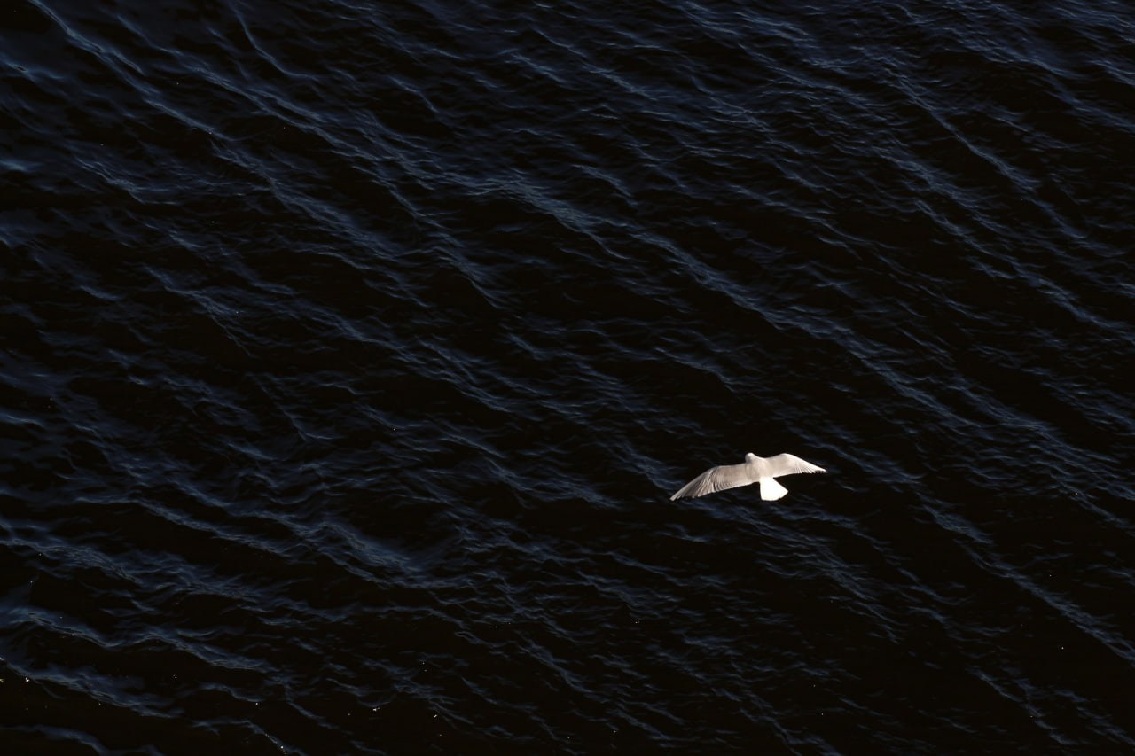 Дарья Урванцева