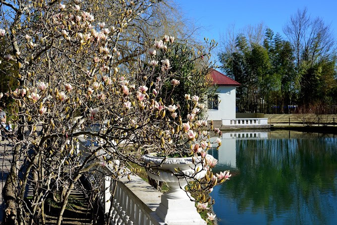 АДЛЕР. Свадебный и семейный фотограф/видеограф в Краснодаре Наталья Осинская