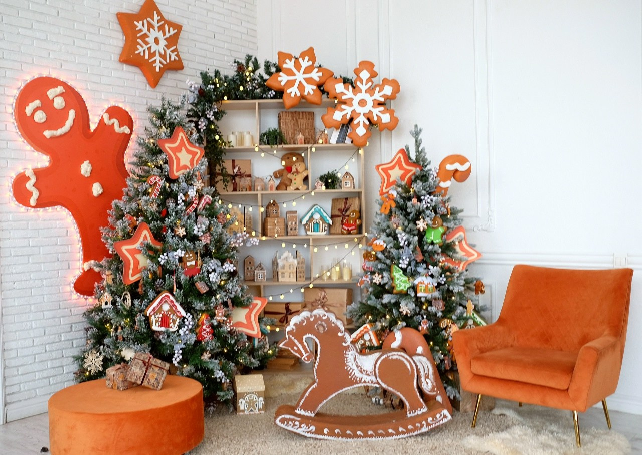 Новогодние залы. Семейный и женский фотограф в Воронеже Ольга Попова