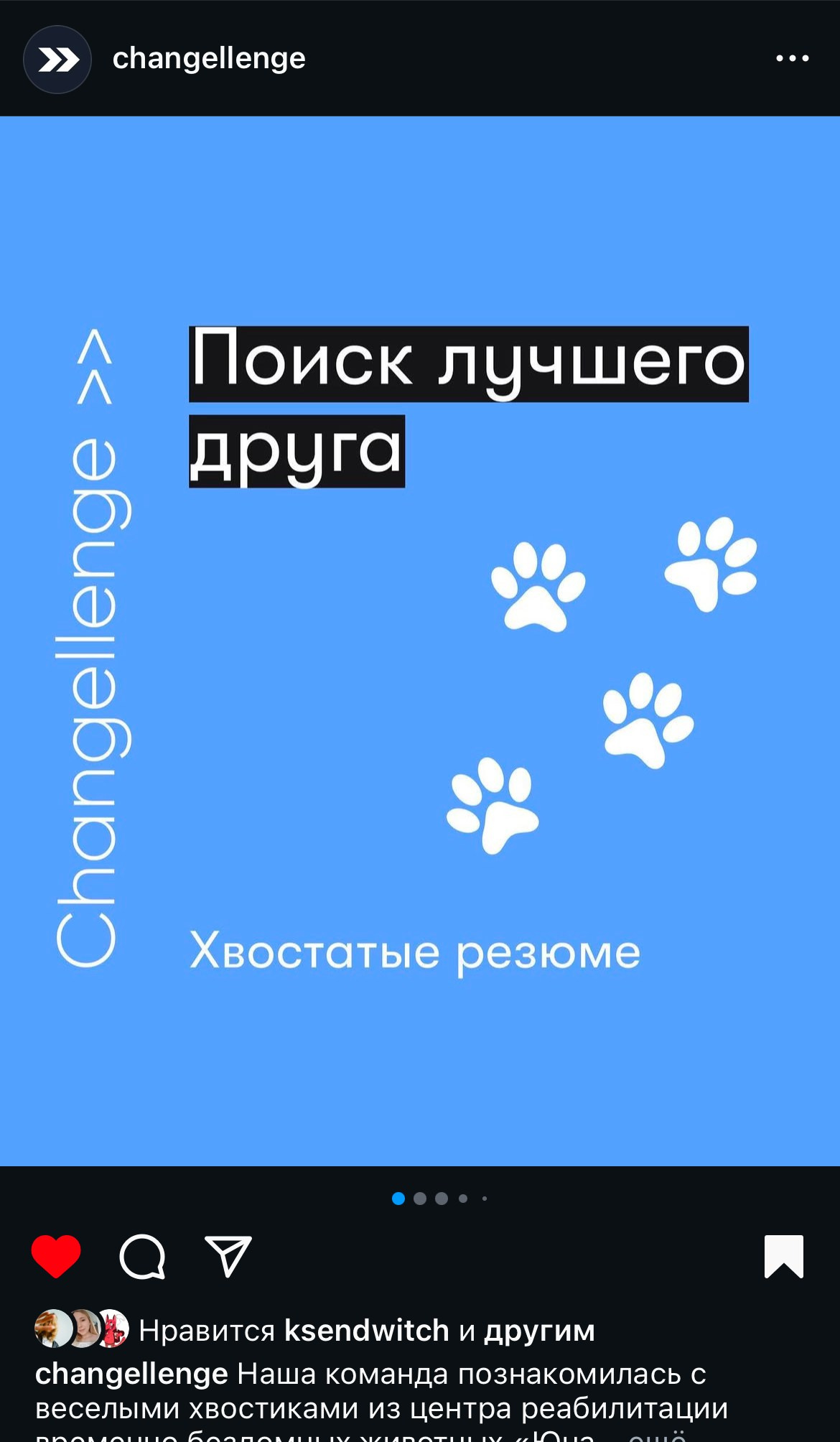 Бренды. Фотограф и коллажист Ольга Шереметьева