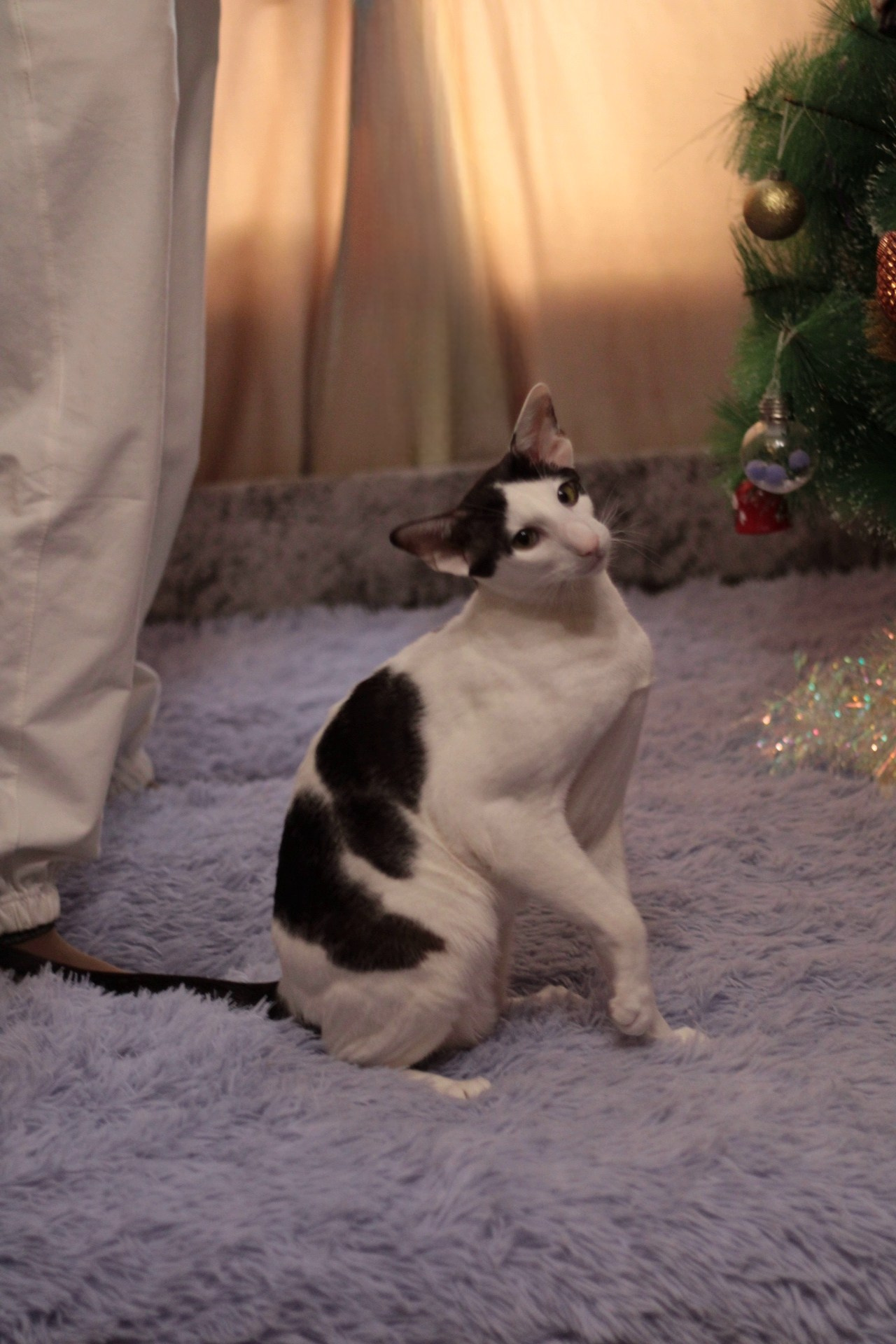 Катя Попова|ЛайфСтайл фотограф