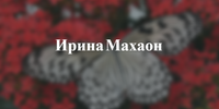 makhaonphoto.wfolio.pro