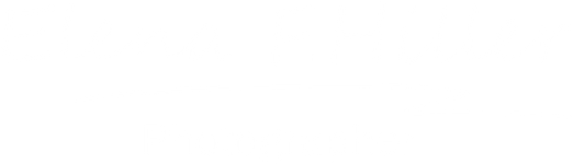 elenafetisova-hiller.com