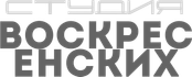studiovsx.ru