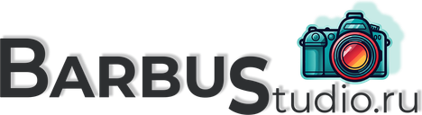 barbustudio.ru