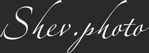 shevphoto.wfolio.pro