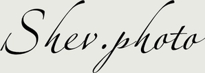 shevphoto.wfolio.pro