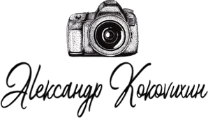 alexanderkokovixin.ru