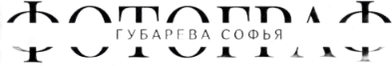 sofia-gubareva.wfolio.pro