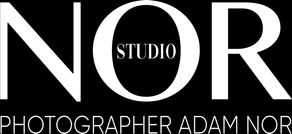 nor-studio.ru