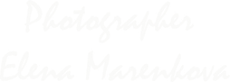 elenamarenkova.ru
