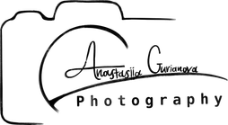 anastasiiagurianova.wfolio.pro