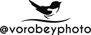 vorobeyphoto.wfolio.pro