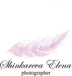 elenashinkareva.by