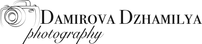 damirovapredmetnik.wfolio.pro