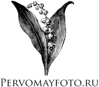 pervomayfoto.ru