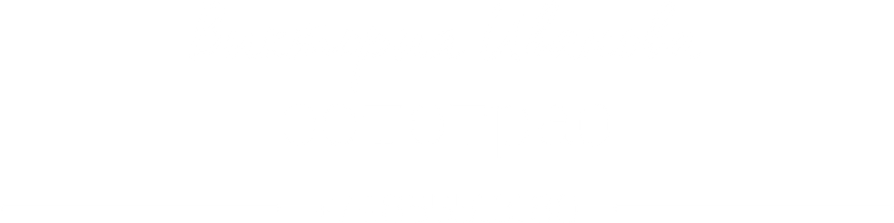 wikieleaks.ru