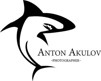 akulov-anton.ru