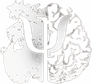 phaip.wfolio.pro