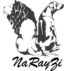 narayzi.ru