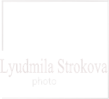 strokova-photo.ru