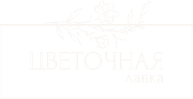 cvlavka.ru