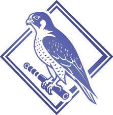 verasokol-school.ru