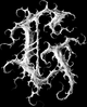 gnoizm.com