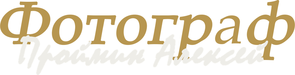 proymin.ru