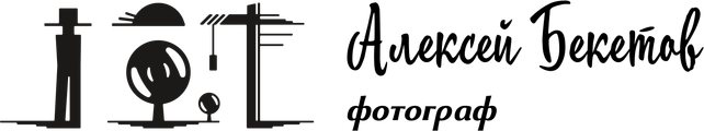 alekseybeketov.com