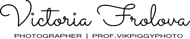 profvikpiggyphoto.ru