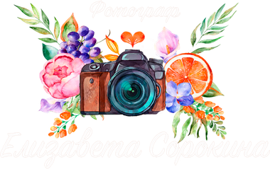 elizavetasorokina.wfolio.pro