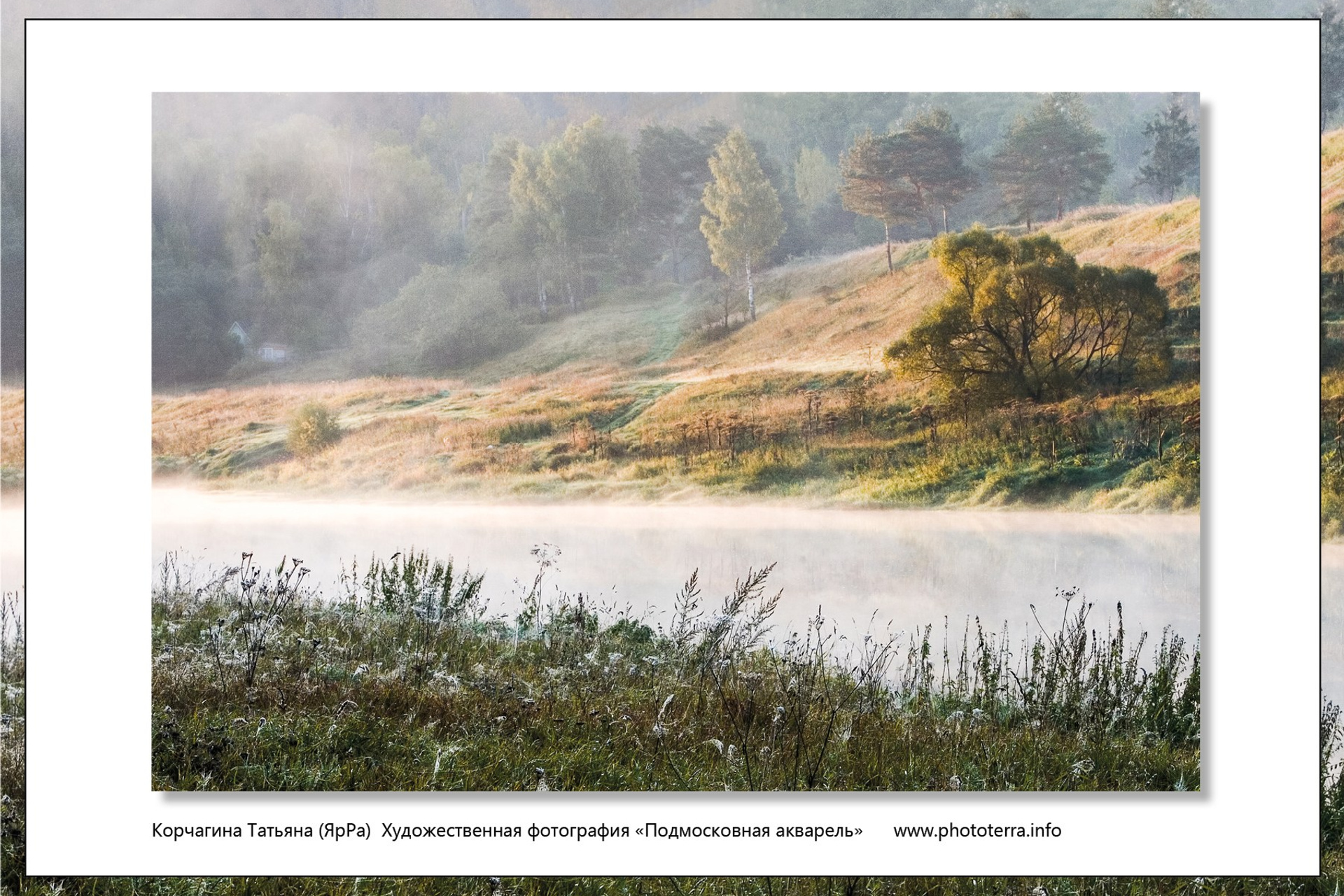 В будущее взяли всех. Татьяна Корчагина. Фотограф, художник. Обучение фотографии