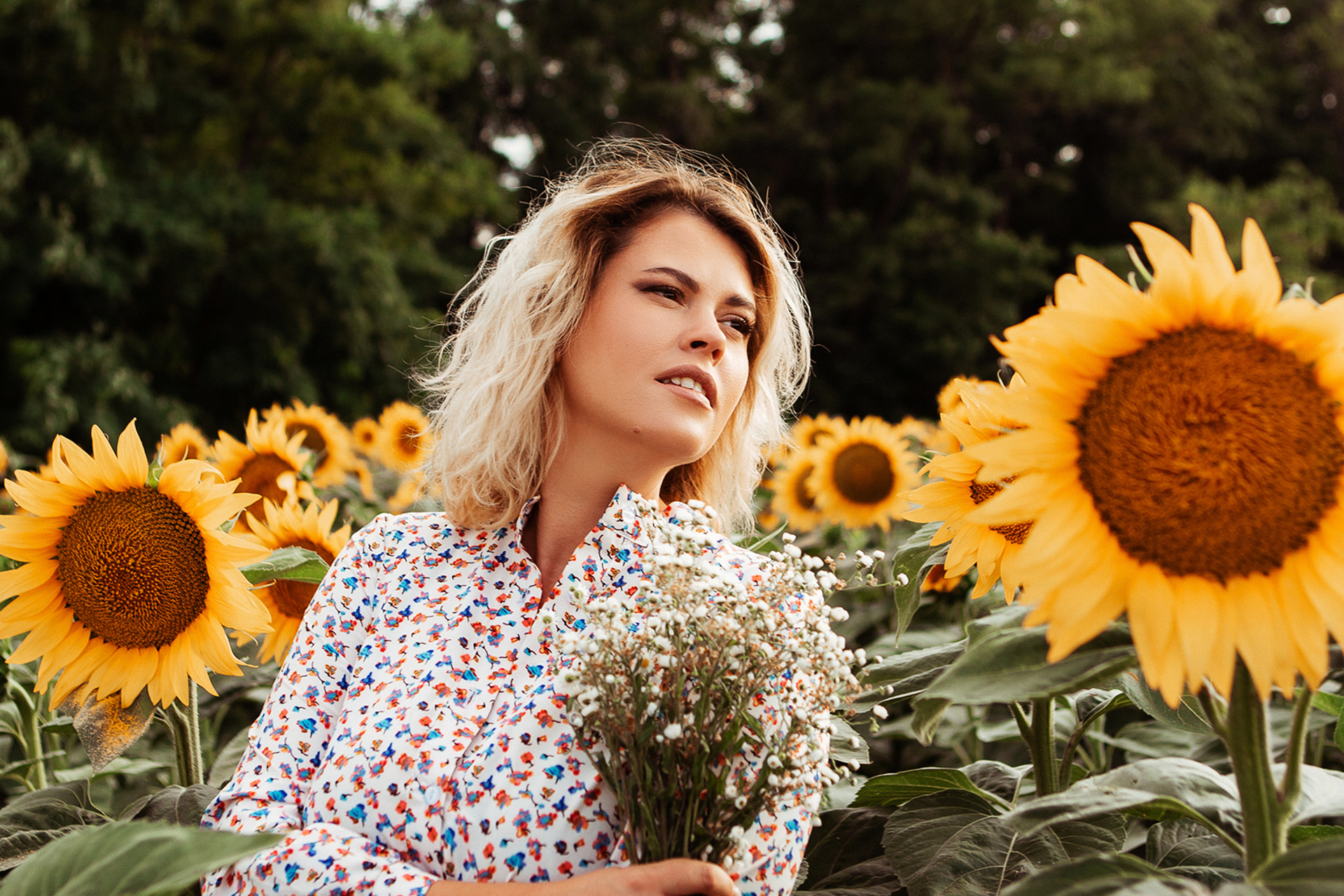 Подсолнухи любви