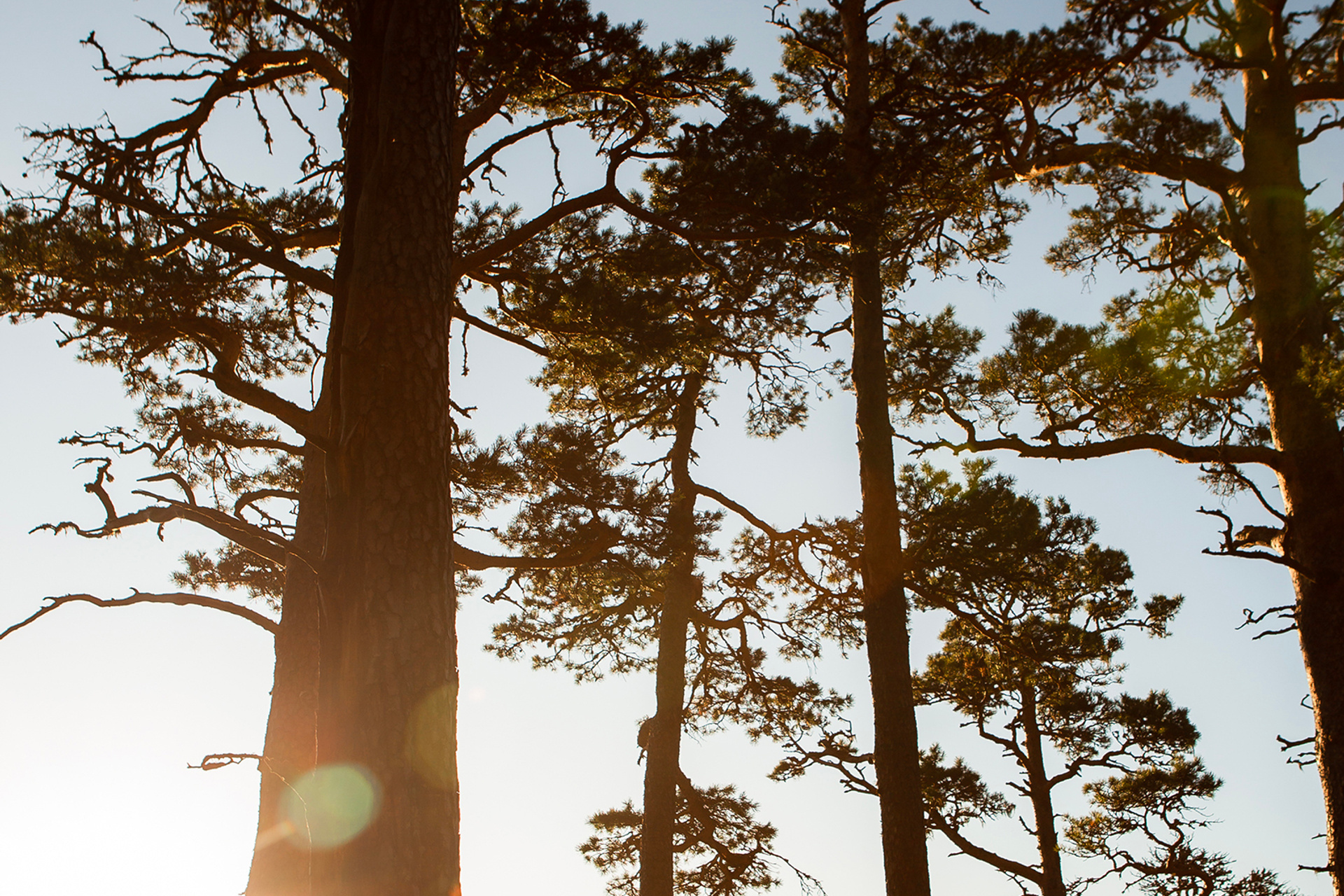 История Любви в горах