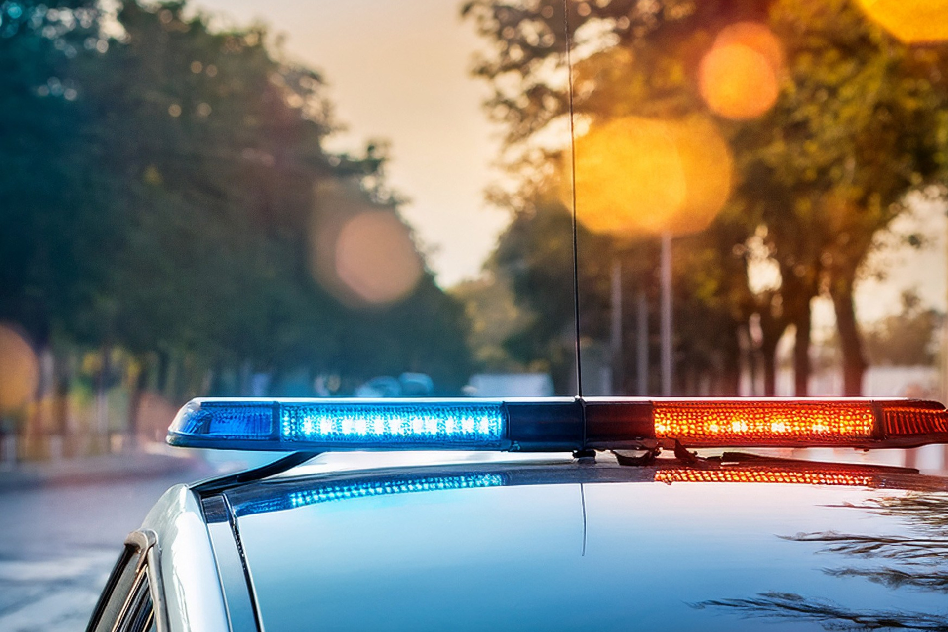 Во Владимирской области выясняют обстоятельства гибели женщины в больнице: результаты доложат главе СК. Новости Мурома. Муром-Инфо