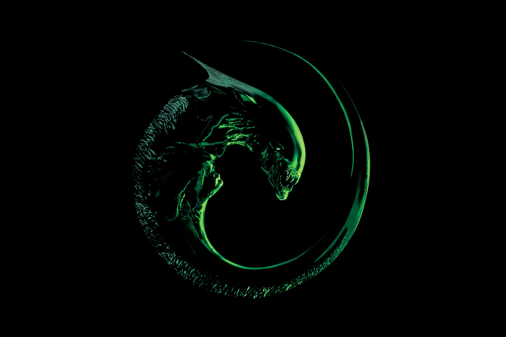 Фотограф в Тюмени Сергей Ермолаев | Dругие КАDРЫ