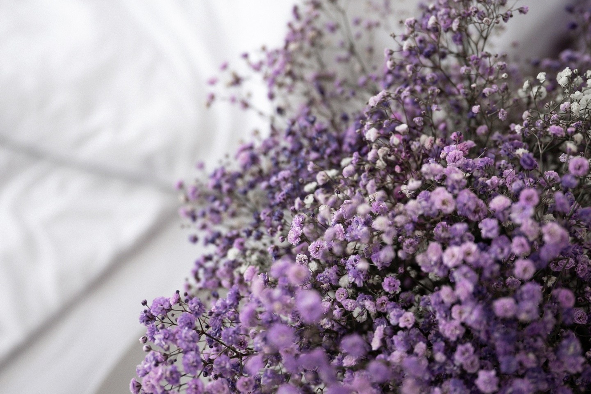 Портфолио. Семейный фотограф в Саратове Элоиза Ляпина