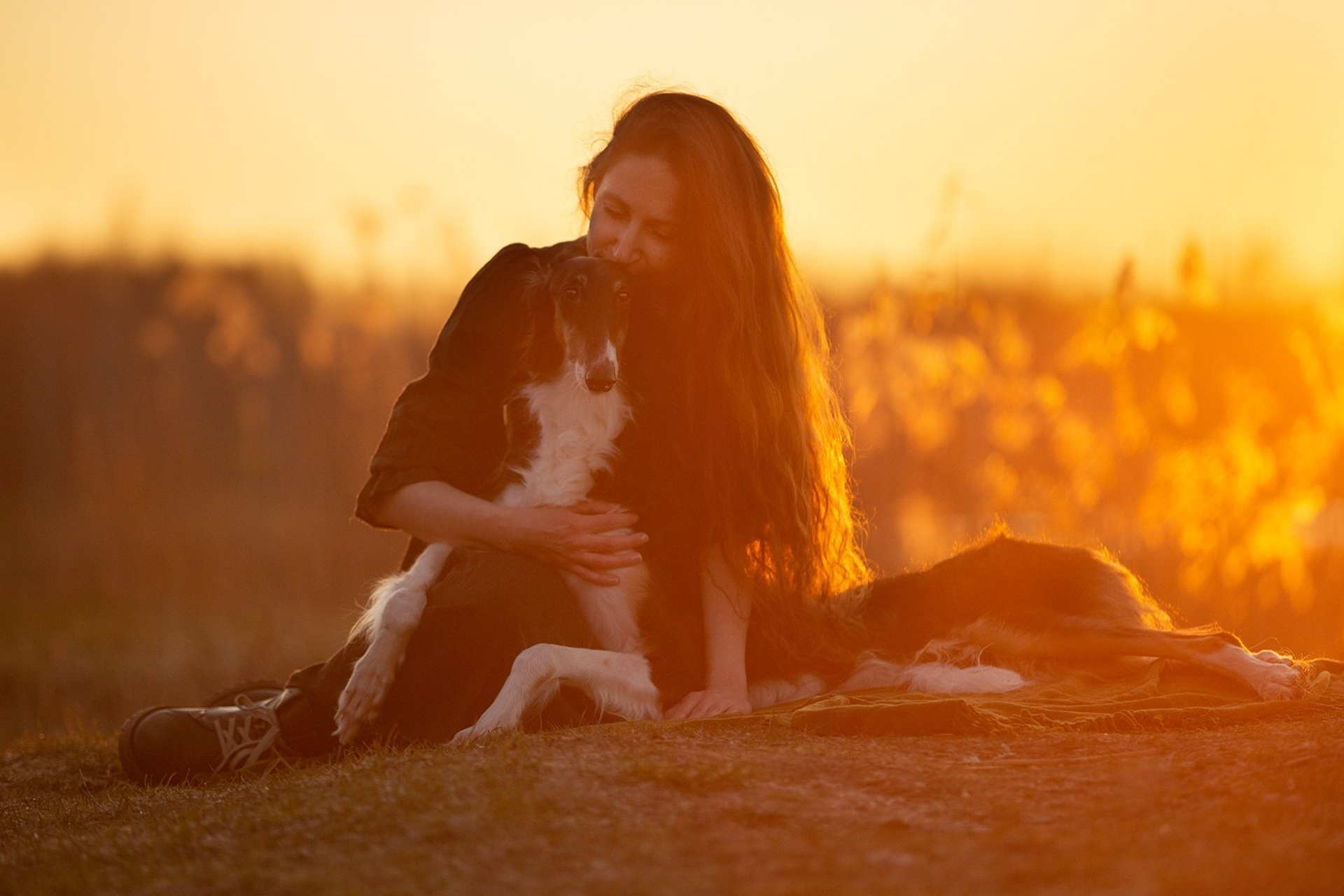 Рассвет с русской псовой борзой