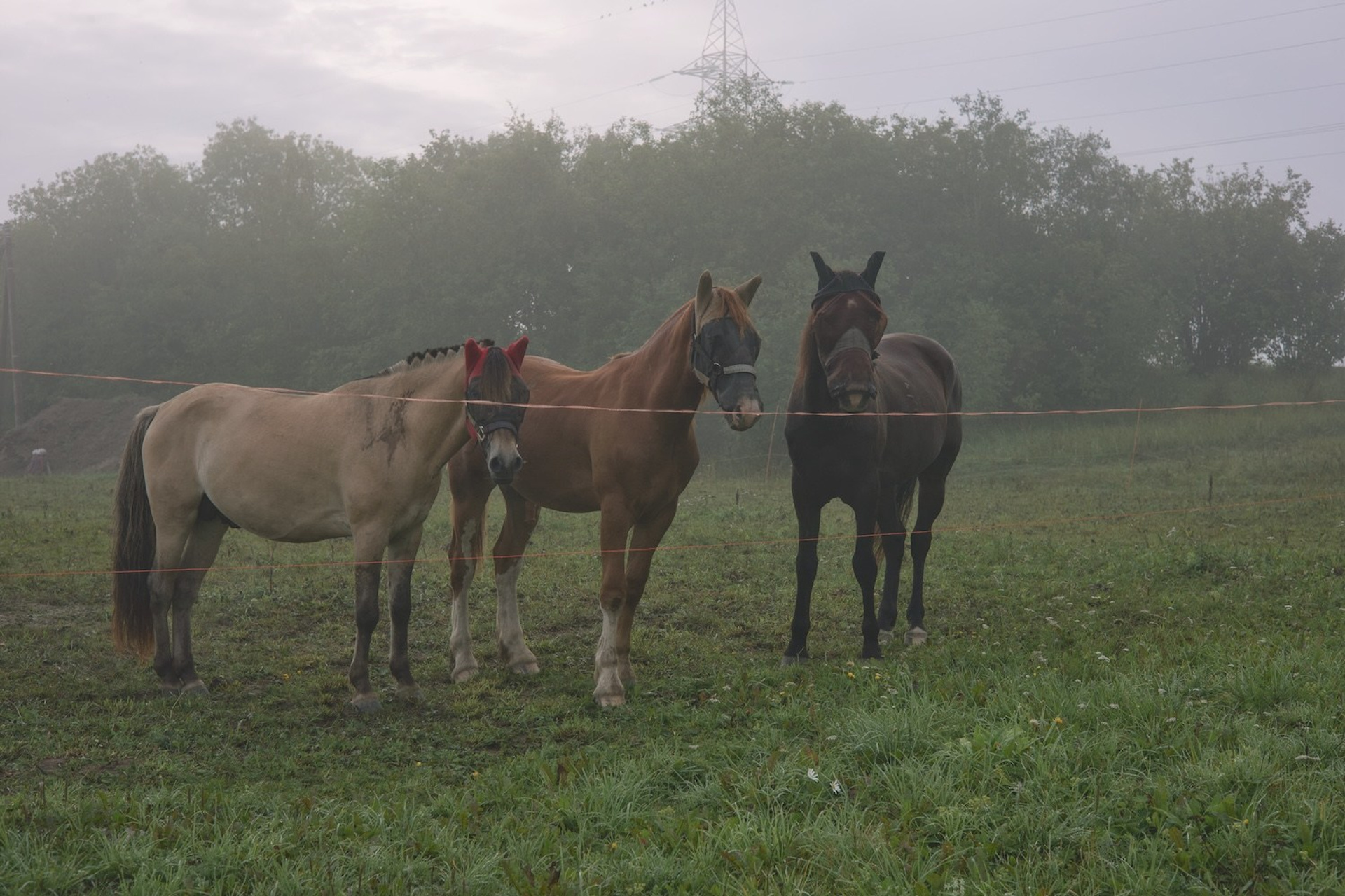 Истинка. Marina Kuzmina is a photography and video artist