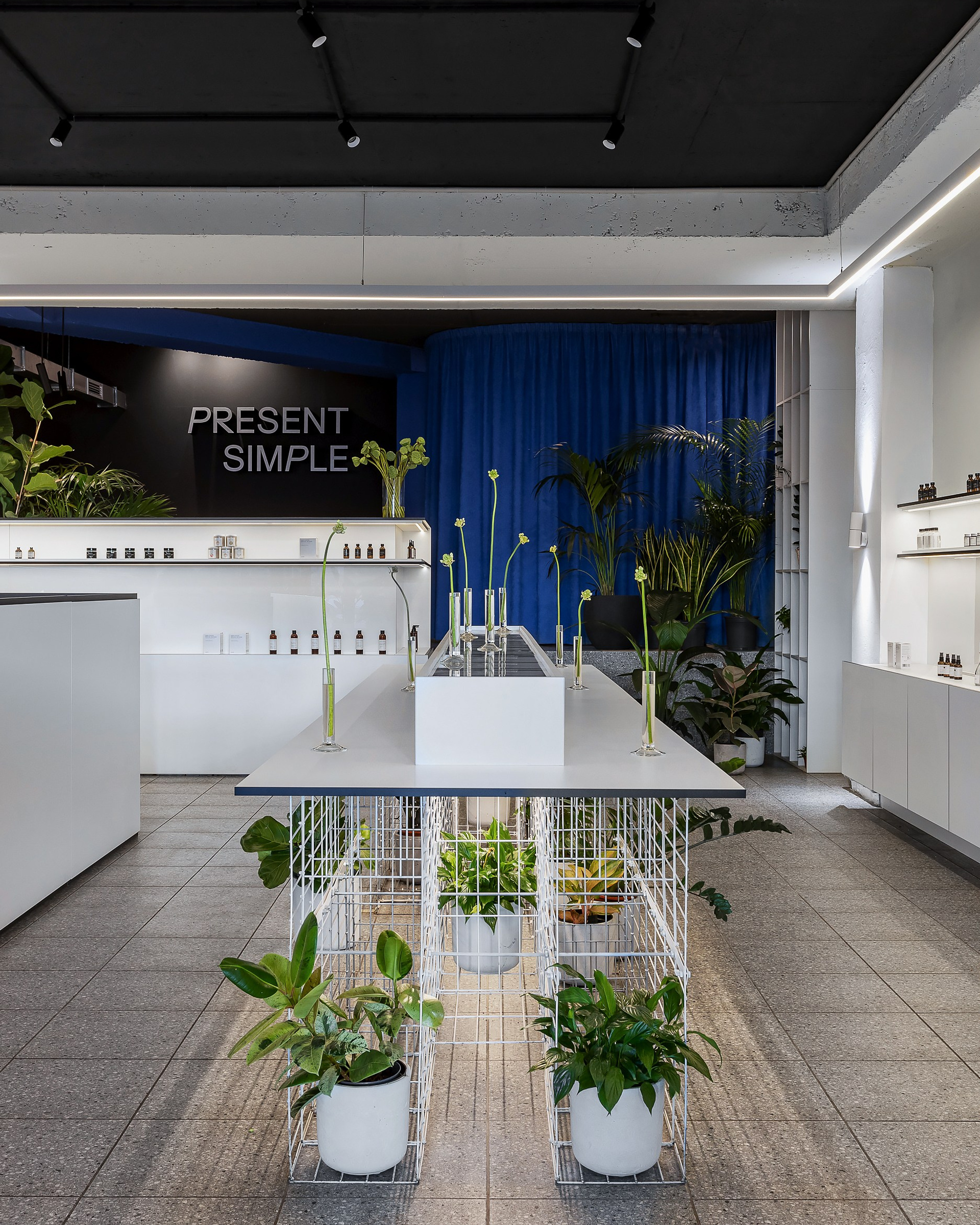 PRESENT SIMPLE STORE
