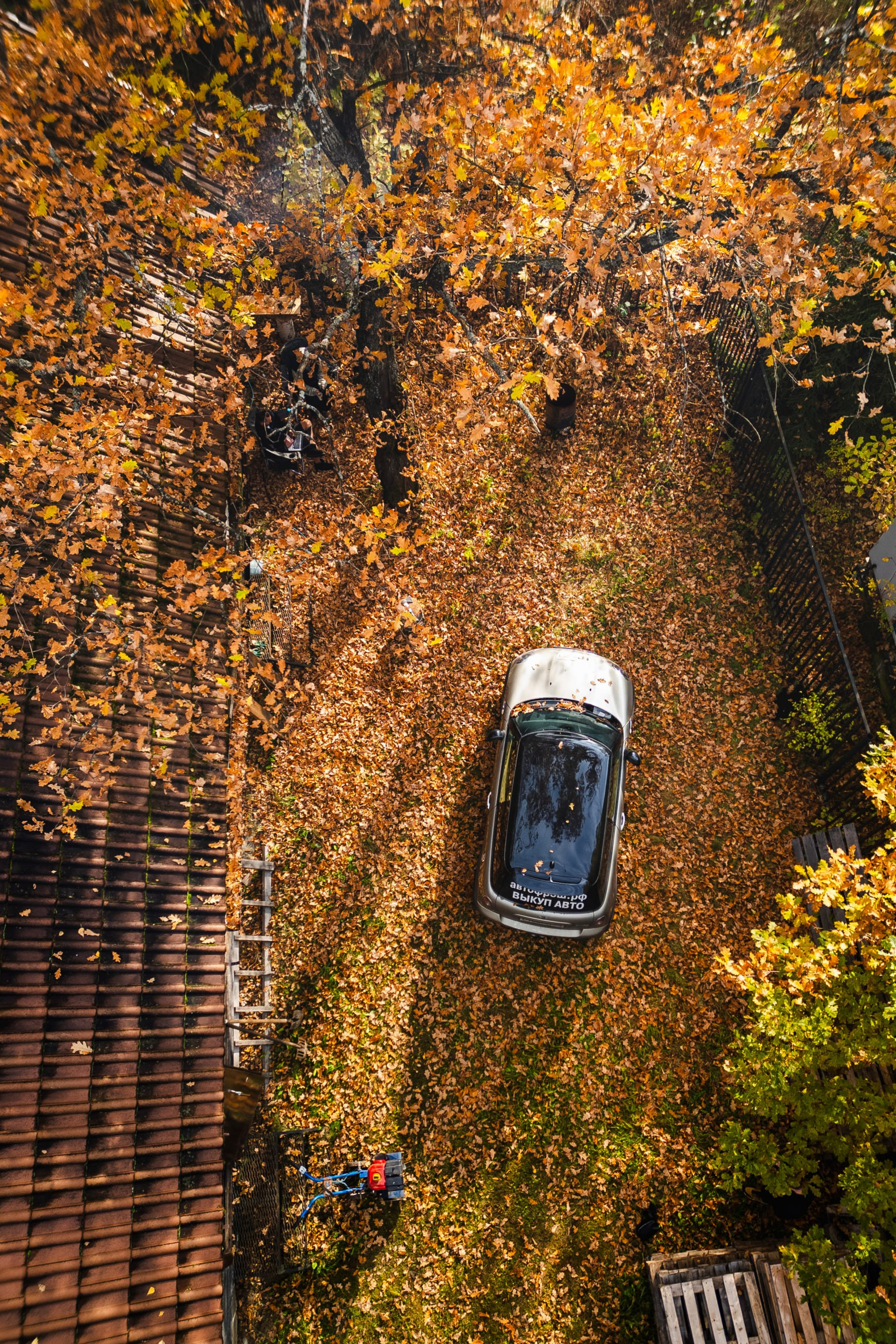 Блог. DRONBERRY — Аэросъемка Ярославль