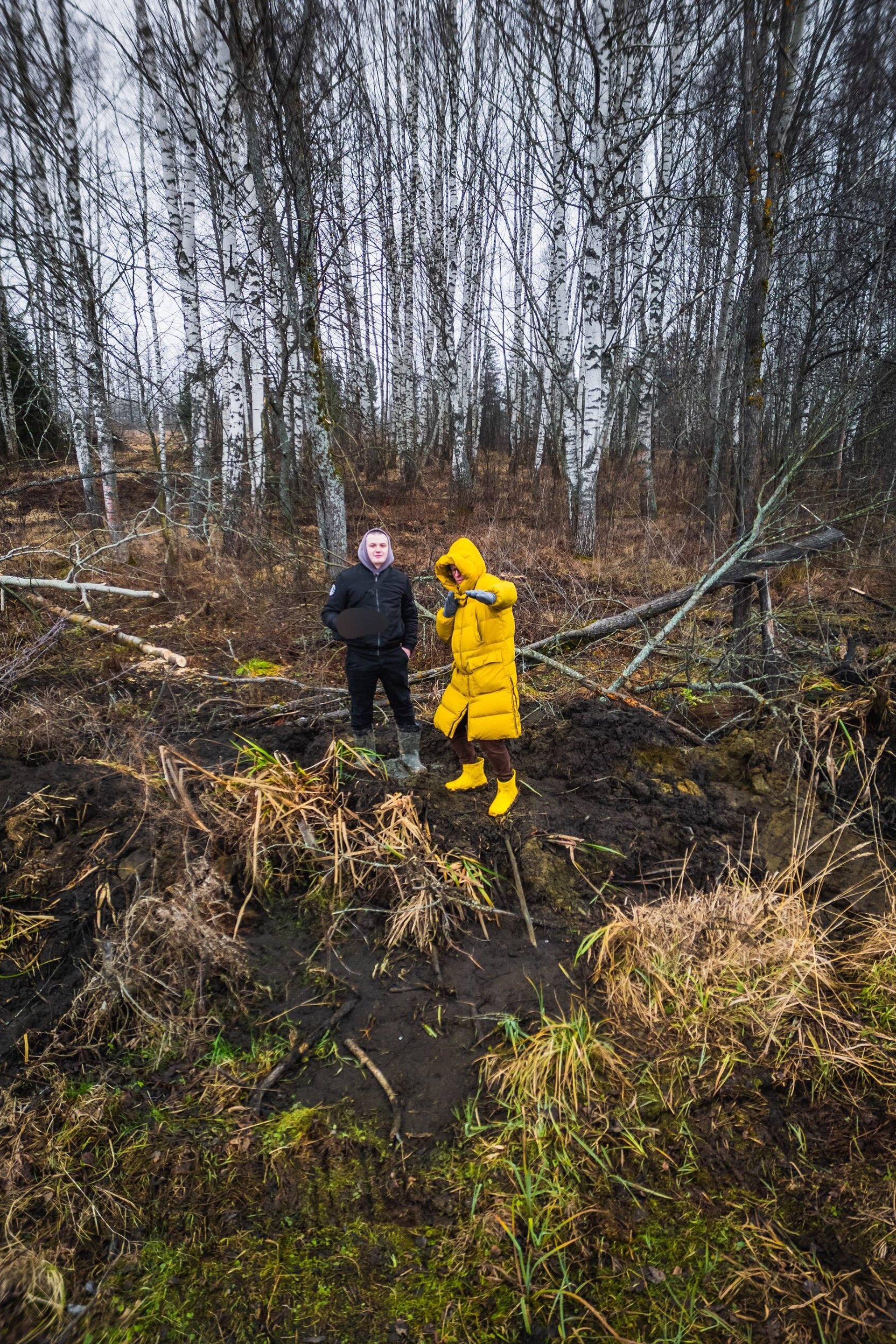 Блог. DRONBERRY — Аэросъемка Ярославль