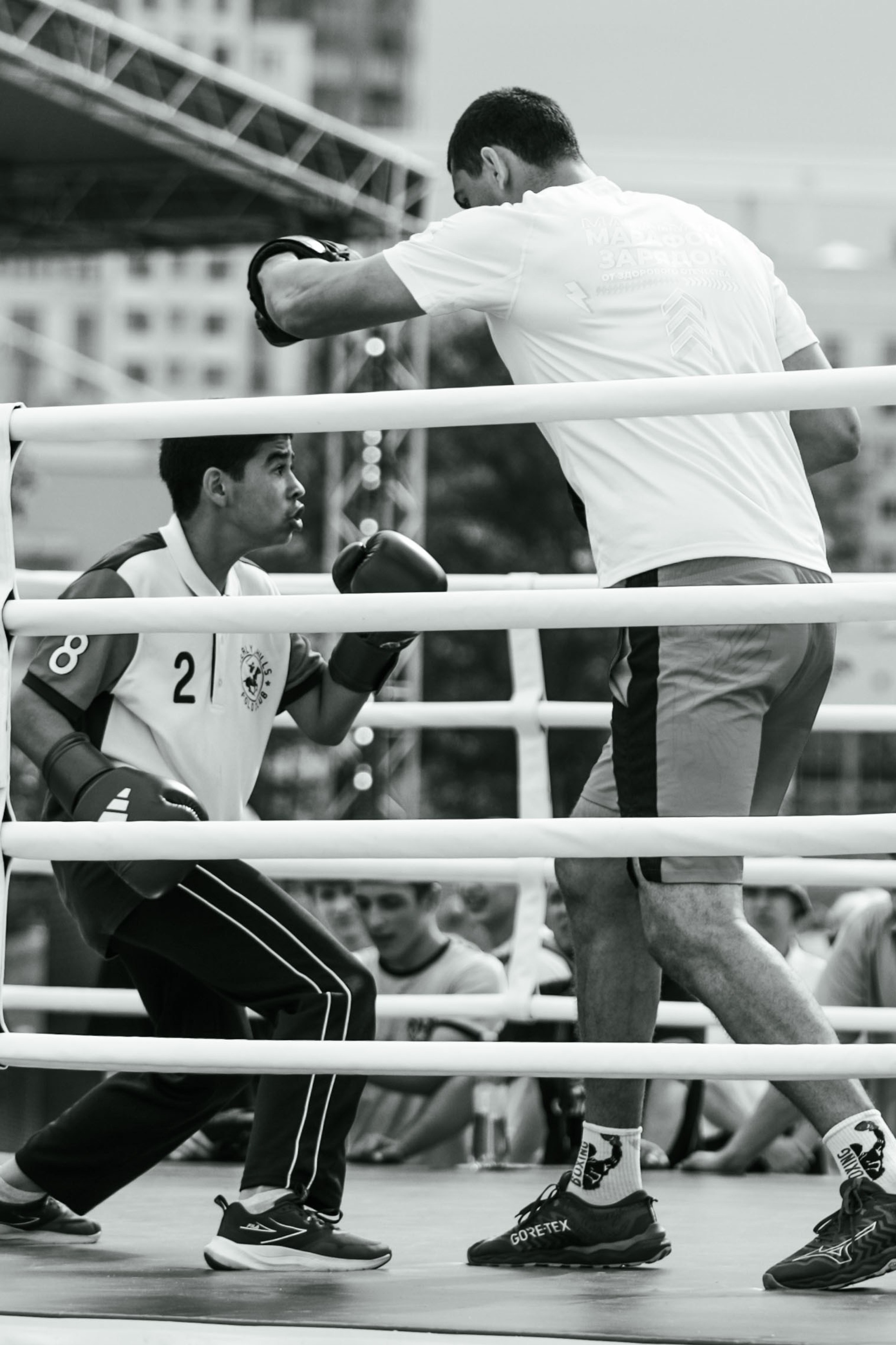 Галерея. Фотограф в Москве Андрей Поташов «Photashov»