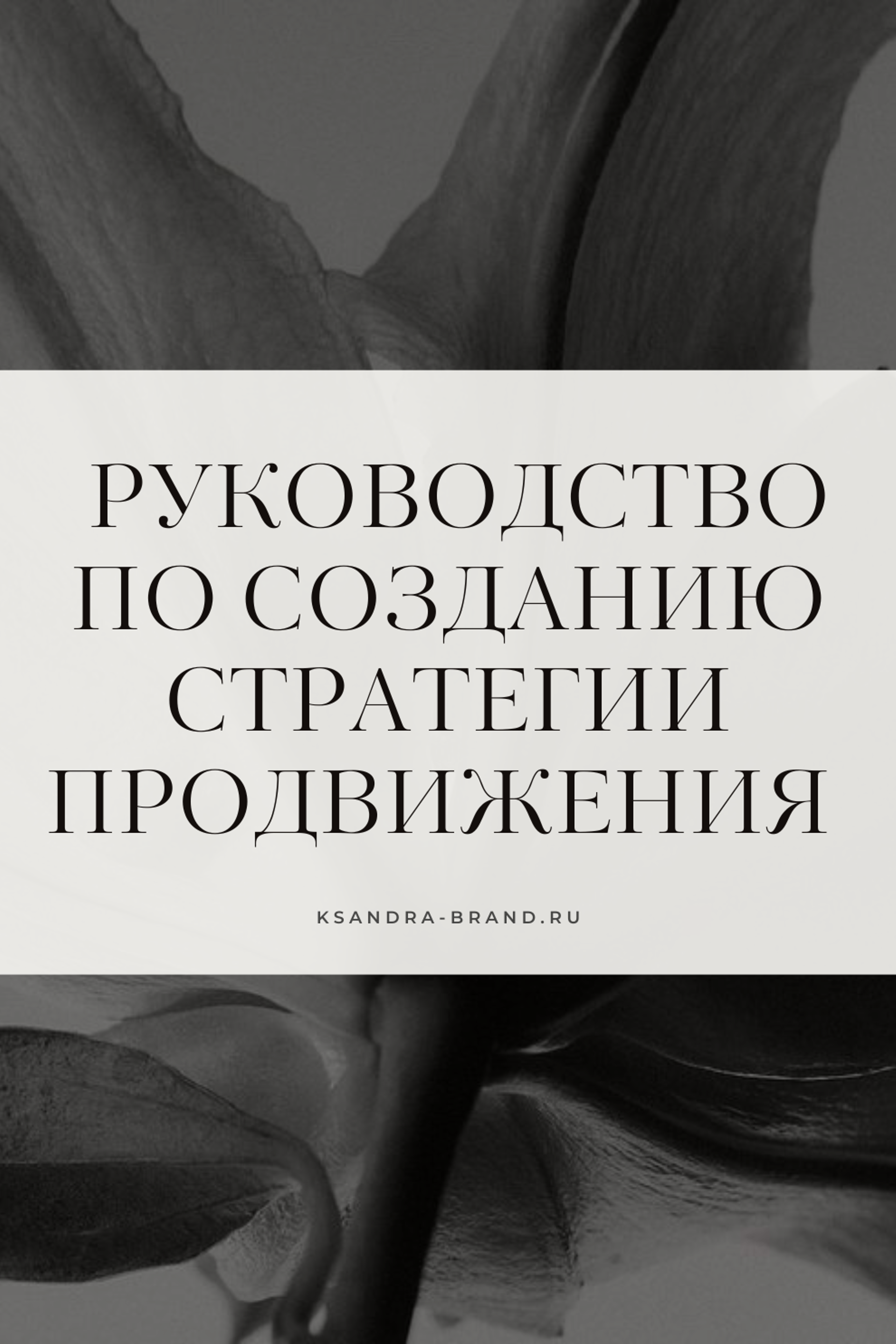 Блог Александры Дмитриевой