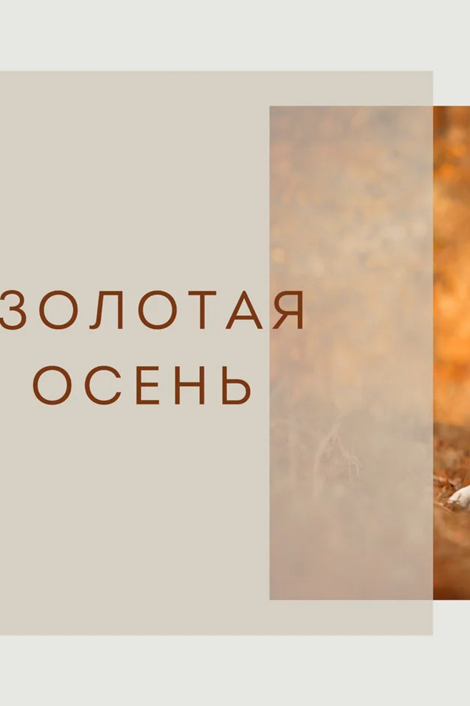 Детский портрет в домашних условиях. Семейный и детский фотограф в Москве Юлия Твердова