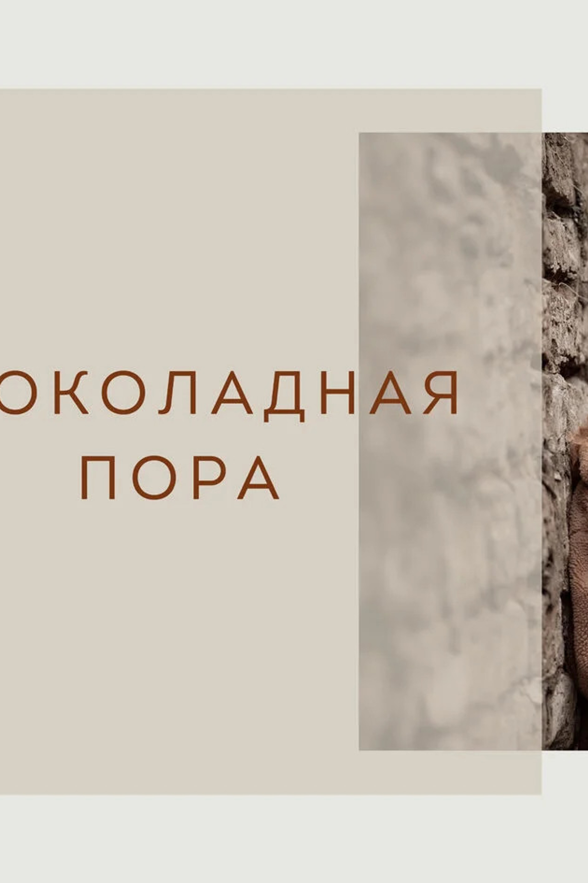 Детский портрет в домашних условиях. Семейный и детский фотограф в Москве Юлия Твердова