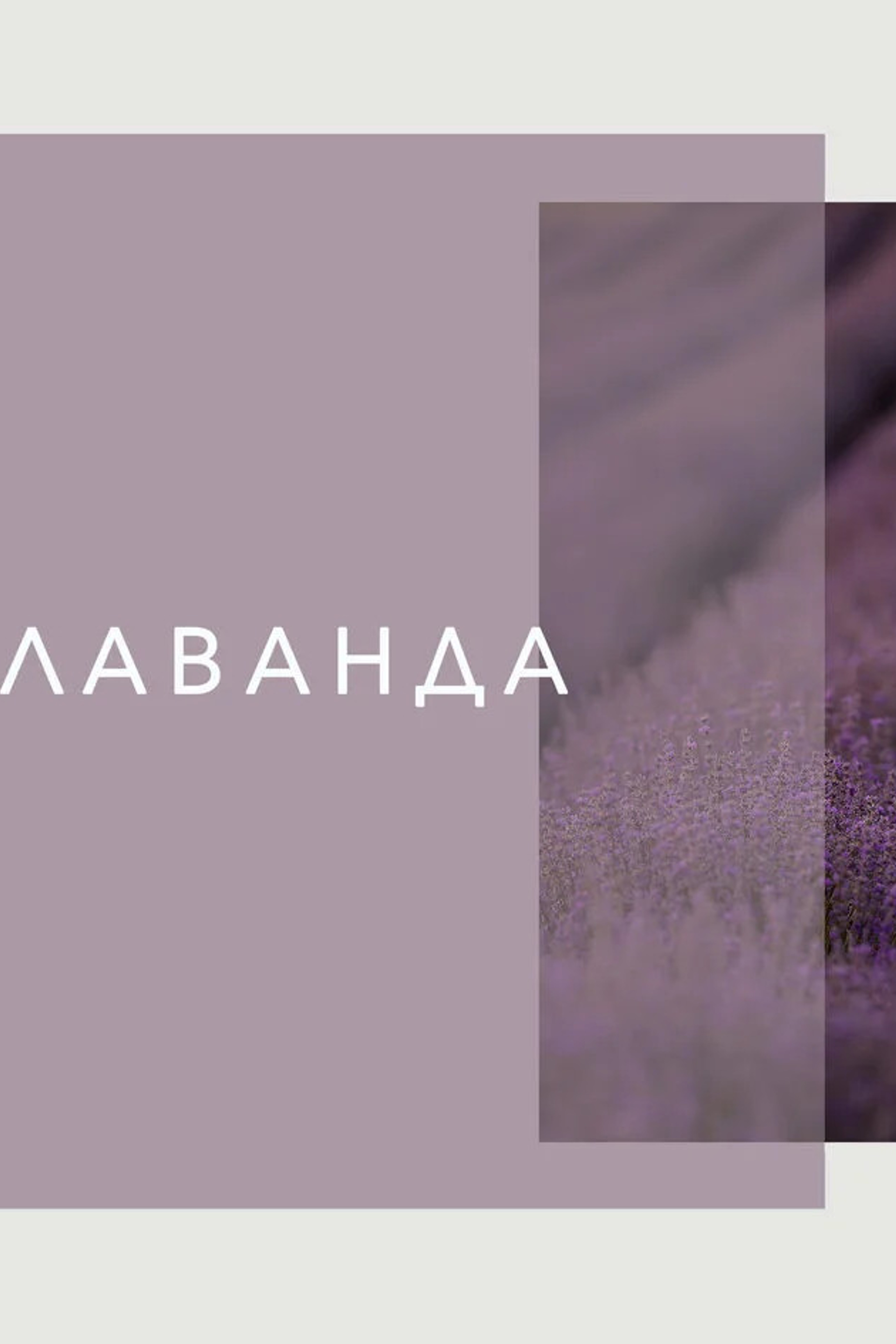 Детский портрет в домашних условиях. Семейный и детский фотограф в Москве Юлия Твердова